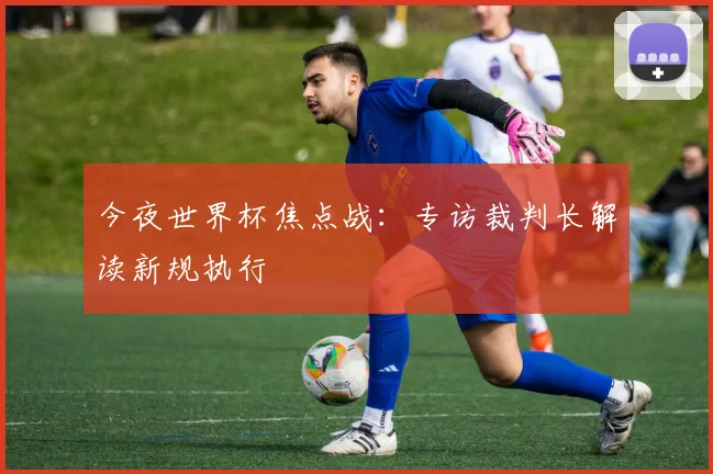 今夜世界杯焦点战:专访裁判长解读新规执行