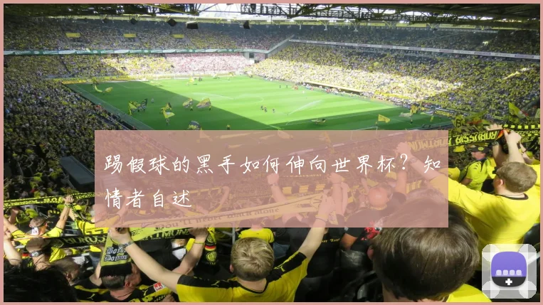 踢假球的黑手如何伸向世界杯？知情者自述