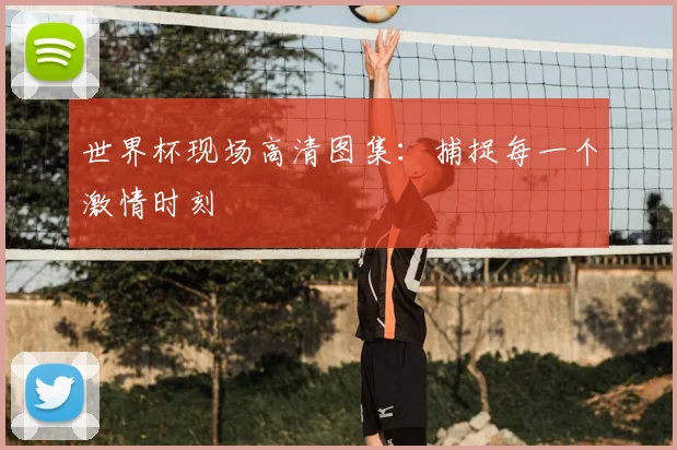 世界杯现场高清图集：捕捉每一个激情时刻