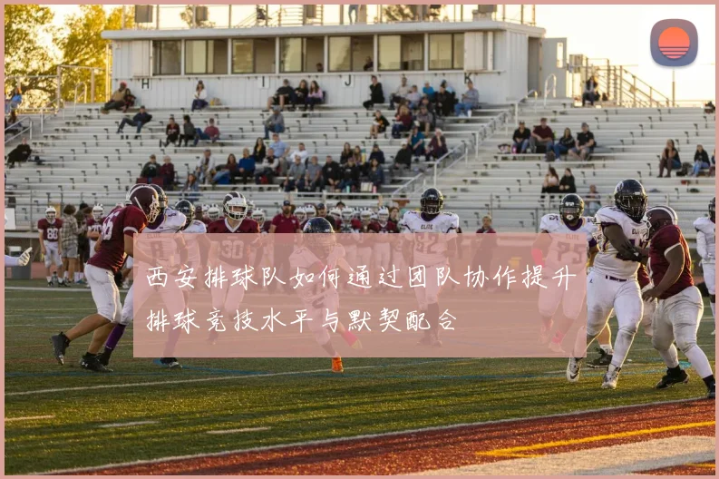 西安排球队如何通过团队协作提升排球竞技水平与默契配合