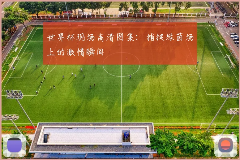 世界杯现场高清图集：捕捉绿茵场上的激情瞬间