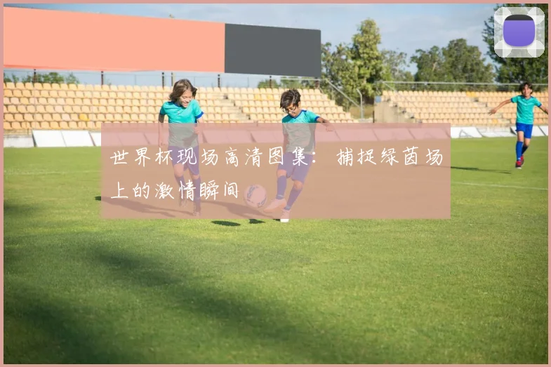 世界杯现场高清图集：捕捉绿茵场上的激情瞬间