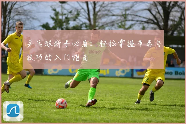 乒乓球新手必看:轻松掌握节奏与技巧的入门指南