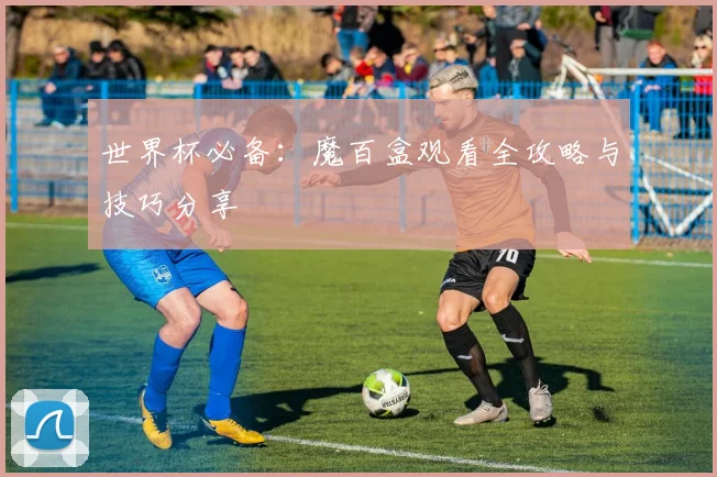 世界杯必备：魔百盒观看全攻略与技巧分享
