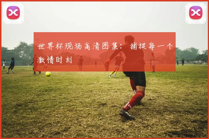 世界杯现场高清图集：捕捉每一个激情时刻